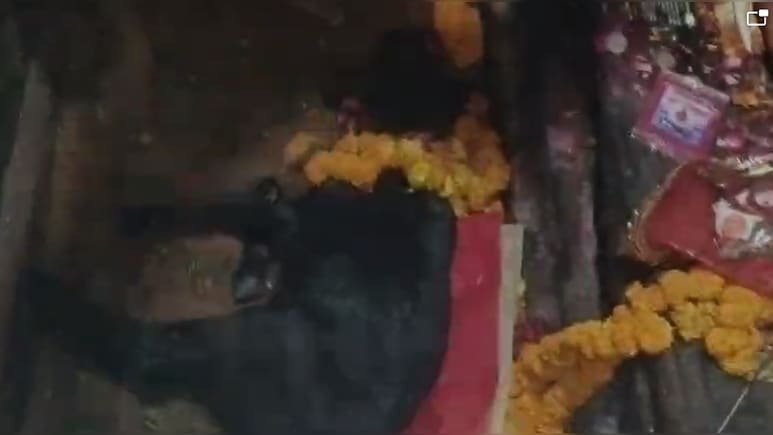 बिहार में है ऐसा अनूठा मंदिर, जहां 'बलि' के बाद जिंदा बाहर आता है बकरा