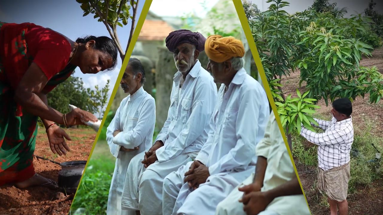 Video: Celebrate Life Dil Se | Restoring India's Water - A Story of Hope, Community & Conservation