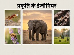 इन 5 जीव के बिना थम जाएगी जिंदगी की रफ्तार, जानिए क्यों....! इन 5 जीव के बिना थम जाएगी जिंदगी की रफ्तार, जानिए क्यों....!