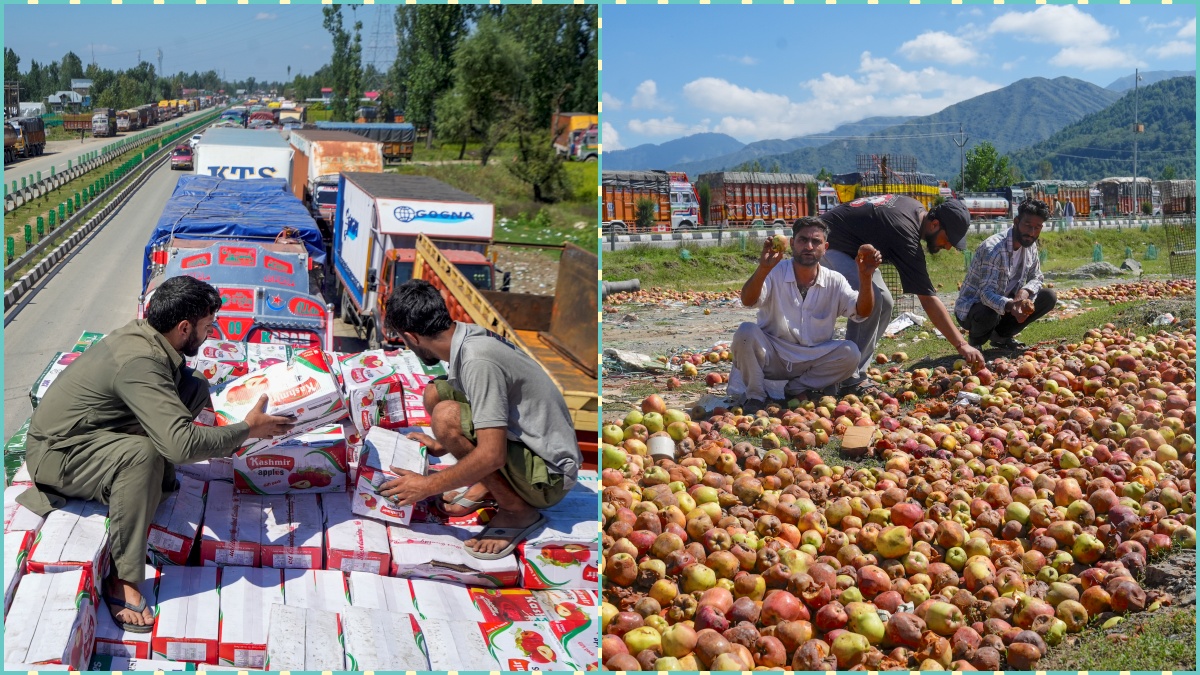 कारोबार चौपट, दुकानों पर ताला... सेब रास्ते में सड़ने से घाटी के व्यापारियों पर जानें क्या बीत रही