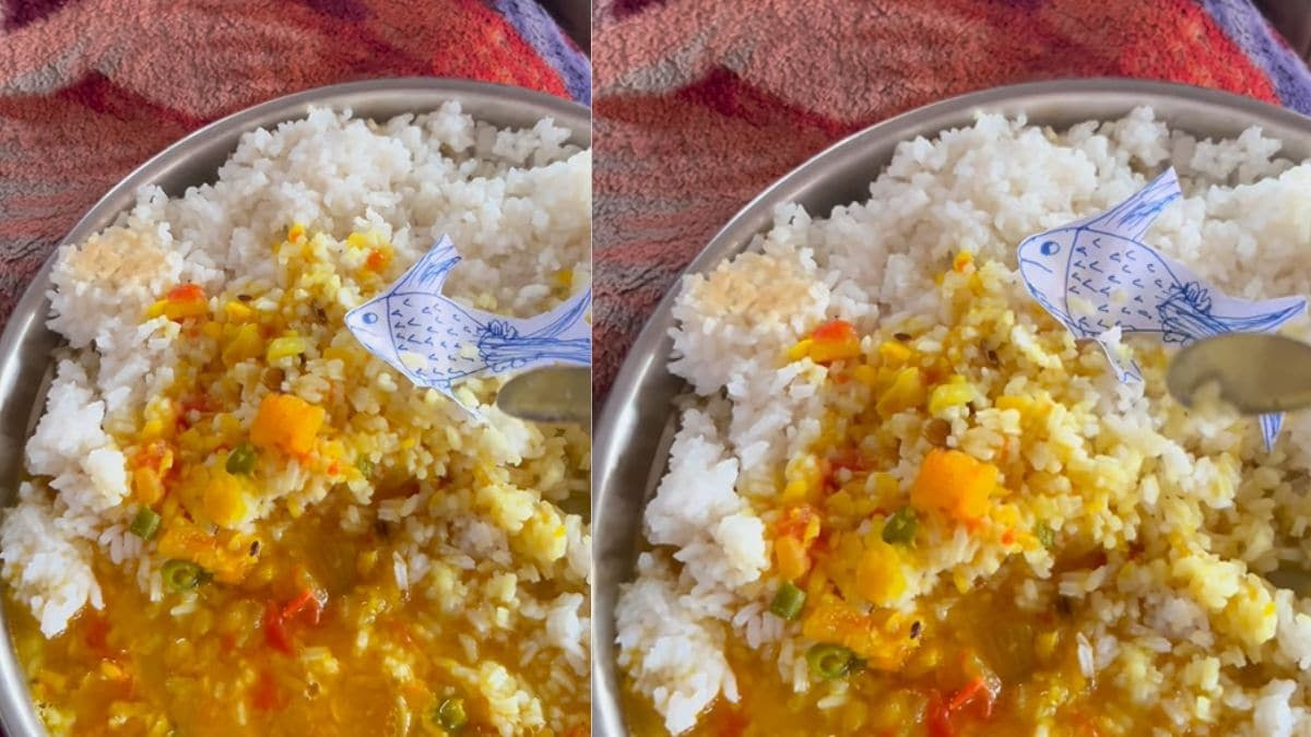 Man Consumes Dal-Chawal With "Vegetarian Fish"; Internet Is Confused