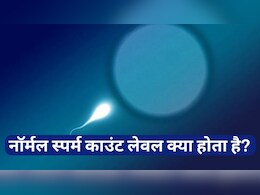 नॉर्मल स्पर्म काउंट लेवल क्या होता है? क्या जीरो स्पर्म काउंट में भी महिला गर्भवती हो सकती है? डॉक्टर से जानें इसका जवाब नॉर्मल स्पर्म काउंट लेवल क्या होता है? क्या जीरो स्पर्म काउंट में भी महिला गर्भवती हो सकती है? डॉक्टर से जानें इसका जवाब