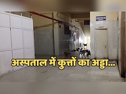 जिला अस्पताल के बच्चा वार्ड में कुत्तों का आतंक, प्रशासन की लापरवाही से मंडराने लगा खतरा