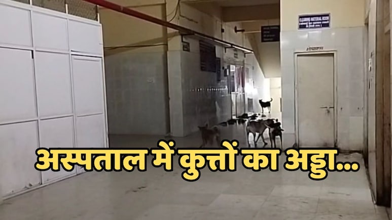 जिला अस्पताल के बच्चा वार्ड में कुत्तों का आतंक, प्रशासन की लापरवाही से मंडराने लगा खतरा