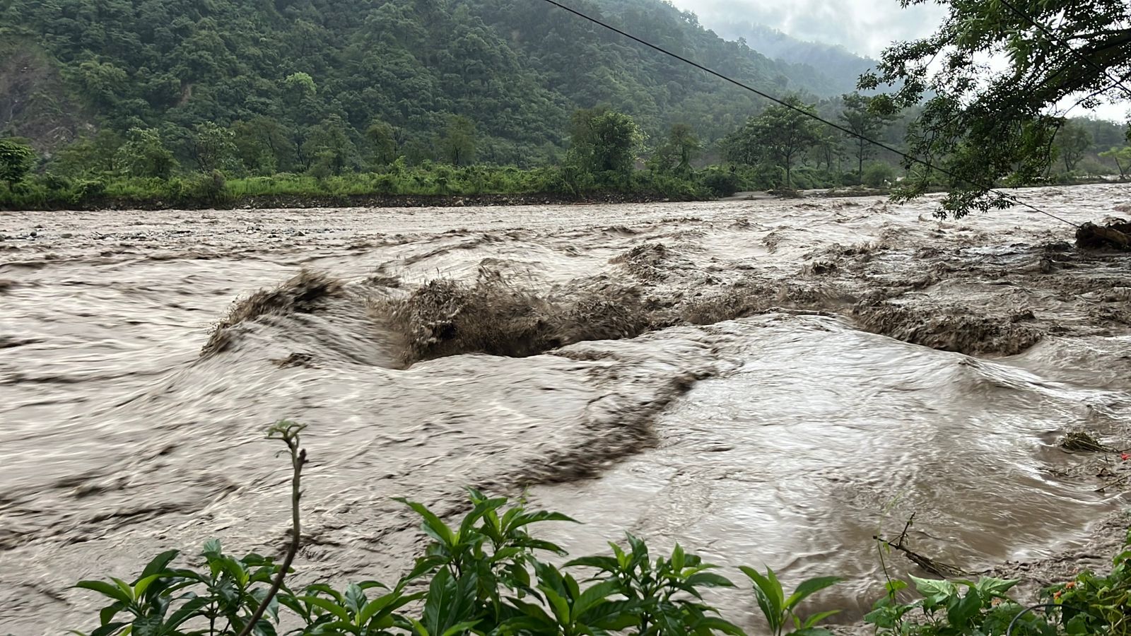 Houses, IT Park Submerged As Heavy Rain Triggers Clouburst In Dehradun