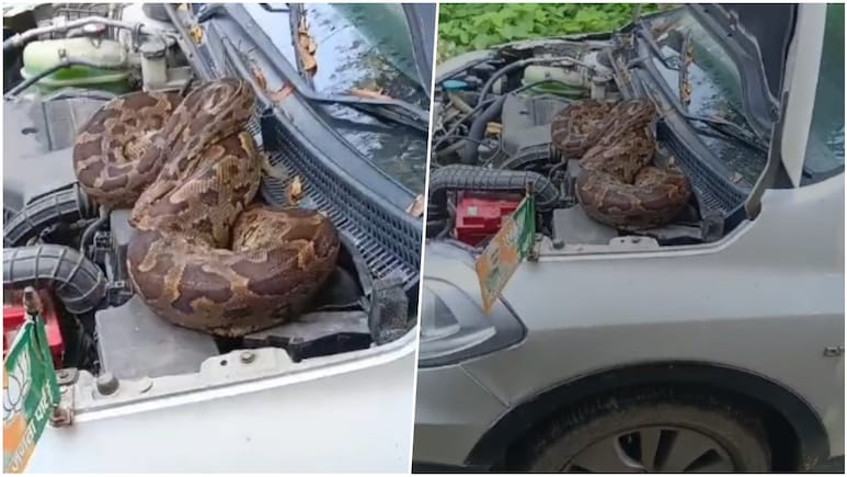 बाराबंकी में कार का बोनट खोलते ही निकला 7 फुट लंबा अजगर, देखिए वीडियो बाराबंकी में कार का बोनट खोलते ही निकला 7 फुट लंबा अजगर, देखिए वीडियो