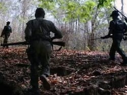 Five Women Among 17 Maoists Killed In Jharkhand