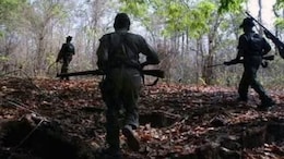 Five Women Among 17 Maoists Killed In Jharkhand
