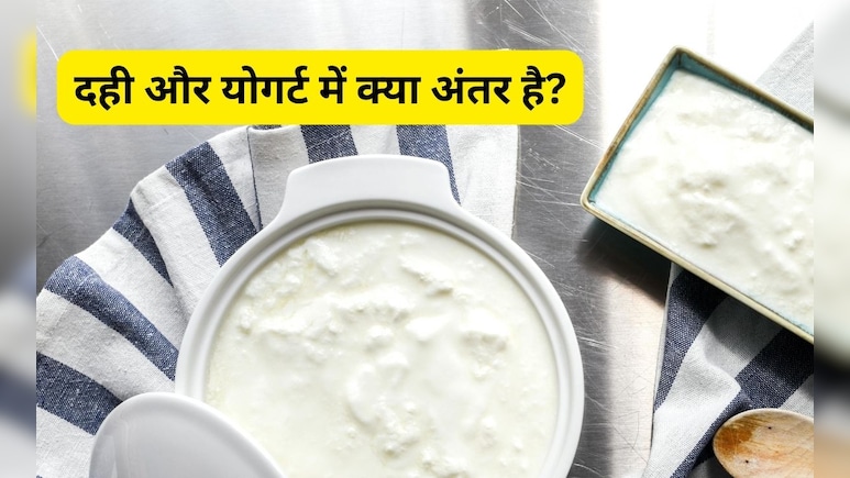 दही और योगर्ट में क्या होता है फर्क, न्यूट्रिशनिस्ट ने बताया किसे खाने पर मिलता है ज्यादा फायदा