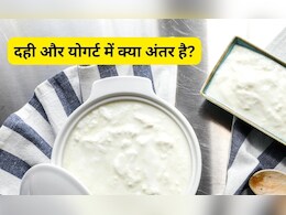 दही और योगर्ट में क्या होता है फर्क, न्यूट्रिशनिस्ट ने बताया किसे खाने पर मिलता है ज्यादा फायदा दही और योगर्ट में क्या होता है फर्क, न्यूट्रिशनिस्ट ने बताया किसे खाने पर मिलता है ज्यादा फायदा