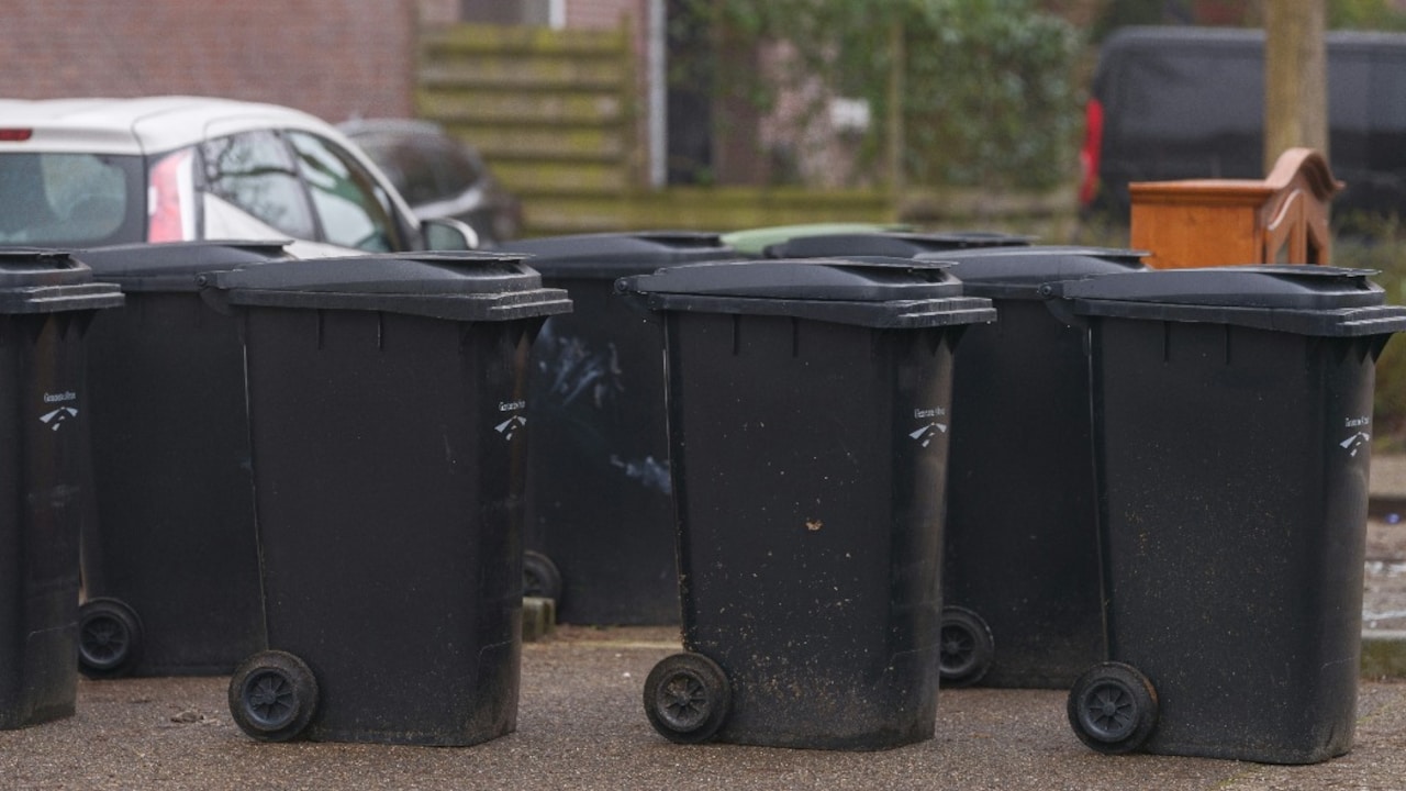 Get the dustbins that match your home decor