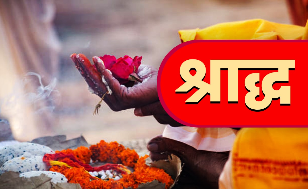 Latest and Breaking News on NDTV Latest and Breaking News on NDTV