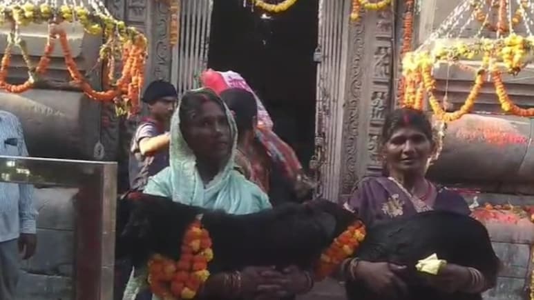 This Ancient Temple In Bihar Practices Rare Bloodless Sacrifice