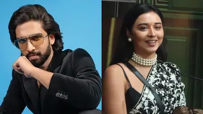 <i>Bigg Boss 19</i>: Is Romance In The Air For Tanya Mittal And Amaal Mallik?