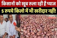 Onion Prices Fall In MP: Agar Malwa में 1 से 7 रुपए किलो की बिक रही प्याज, किसानों का बुरा हाल! Onion Prices Fall In MP: Agar Malwa में 1 से 7 रुपए किलो की बिक रही प्याज, किसानों का बुरा हाल!
