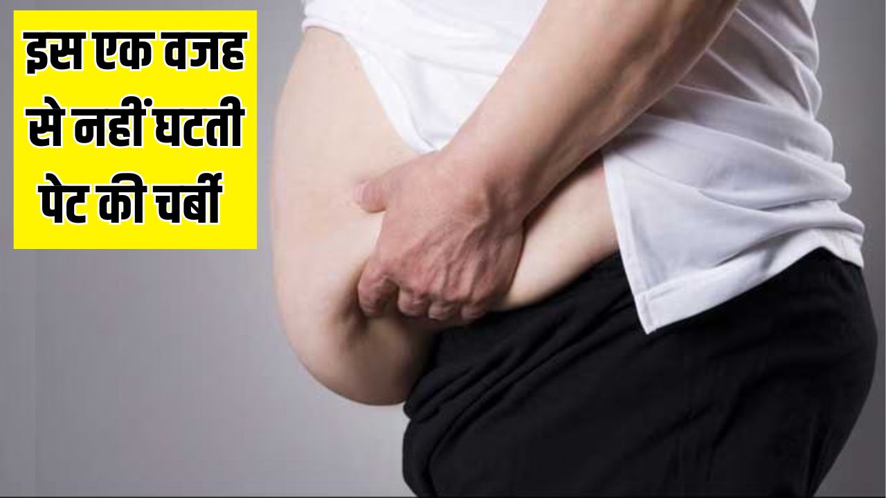 इस एक वजह से नहीं घटती है पेट की चर्बी, Fitness Coach ने बताया 90 दिनों में फैट घटाने का तरीका