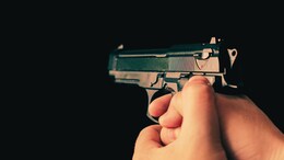 राजस्थान में पुलिस और गौ तस्करों के बीच मुठभेड़, दोनों तरफ से हुई फायरिंग