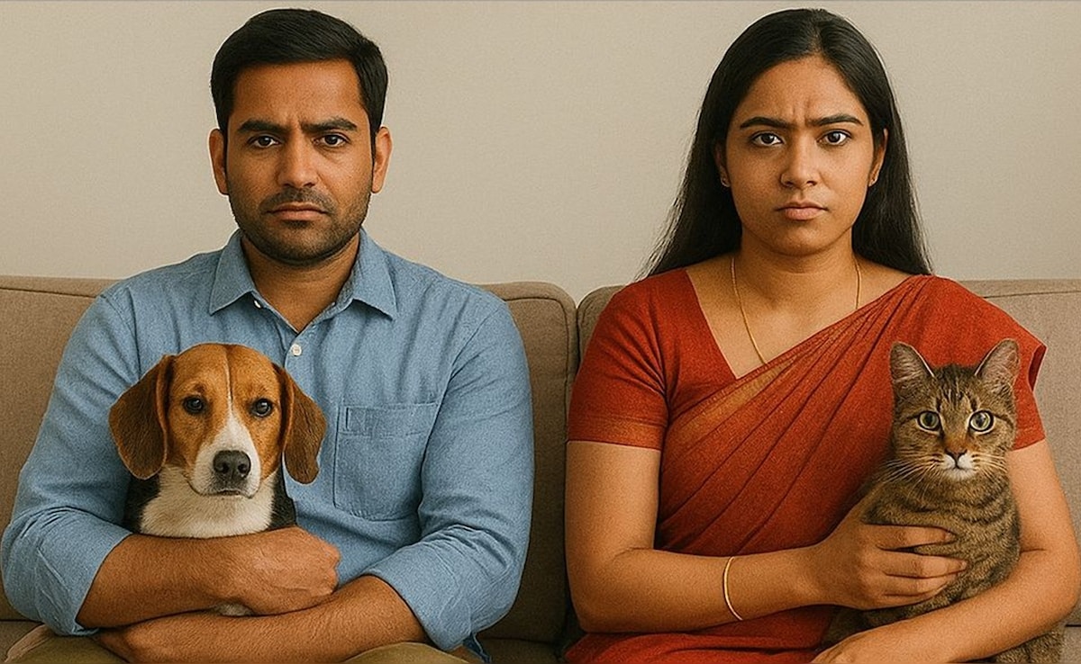 Bhopal Couple Divorces Over Pet Compatibility