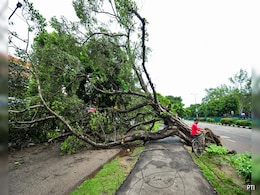 Schools In Chandigarh To Remain Closed On Wednesday Amid Inclement Weather Schools In Chandigarh To Remain Closed On Wednesday Amid Inclement Weather