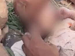 Lips Sealed With Glue, Stone Inside Mouth, Newborn Found Abandoned In Rajasthan Forest Lips Sealed With Glue, Stone Inside Mouth, Newborn Found Abandoned In Rajasthan Forest