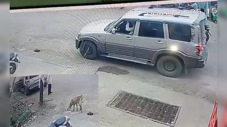 अजब चोरों का गजब कारनामा: मध्‍य प्रदेश में लग्जरी कार से चुराई बकरी, वारदात CCTV में कैद