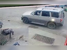 अजब चोरों का गजब कारनामा: मध्य प्रदेश में लग्जरी कार से चुराई बकरी, वारदात CCTV में कैद अजब चोरों का गजब कारनामा: मध्य प्रदेश में लग्जरी कार से चुराई बकरी, वारदात CCTV में कैद