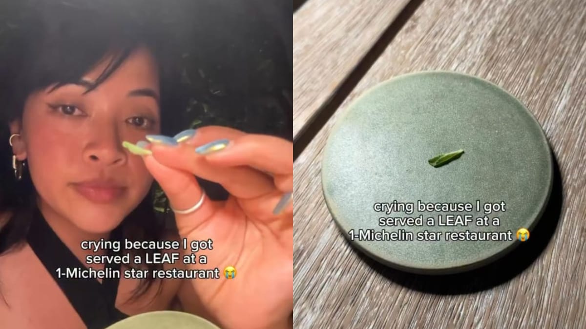 'Still Hungry': Vlogger Gets Just A Leaf At Michelin-Starred Restaurant, Post Goes Viral