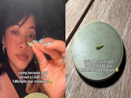Vlogger Gets Just A Leaf At Michelin-Starred Restaurant, Post Goes Viral Vlogger Gets Just A Leaf At Michelin-Starred Restaurant, Post Goes Viral