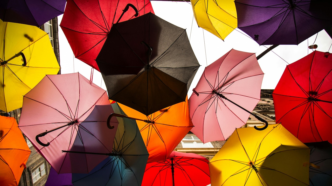 Here are the top umbrella buying guide for 2025
