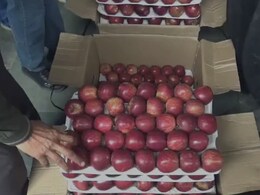 बगीचों और गोदामों में सड़ रहे एप्पल... हिमाचल में प्राकृतिक आपदा से सेब कारोबार पर संकट, 5 हजार करोड़ का नुकसान