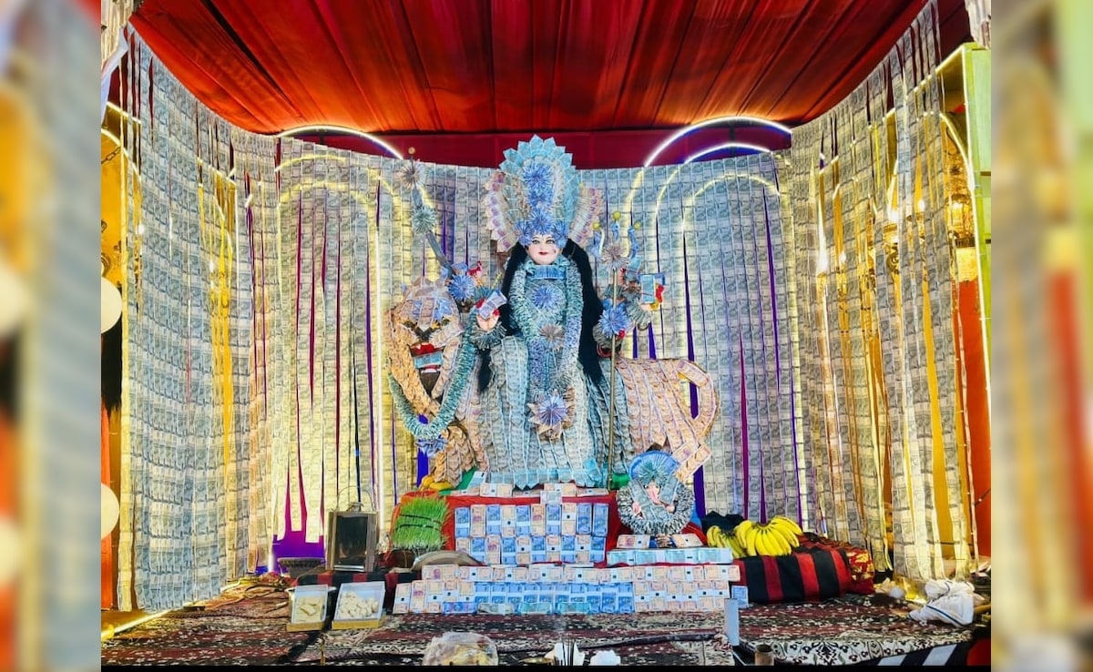 Udaipur's Goddess Baleshwari Mata Adorned With Over Rs 51 Lakh In Cash Udaipur's Goddess Baleshwari Mata Adorned With Over Rs 51 Lakh In Cash