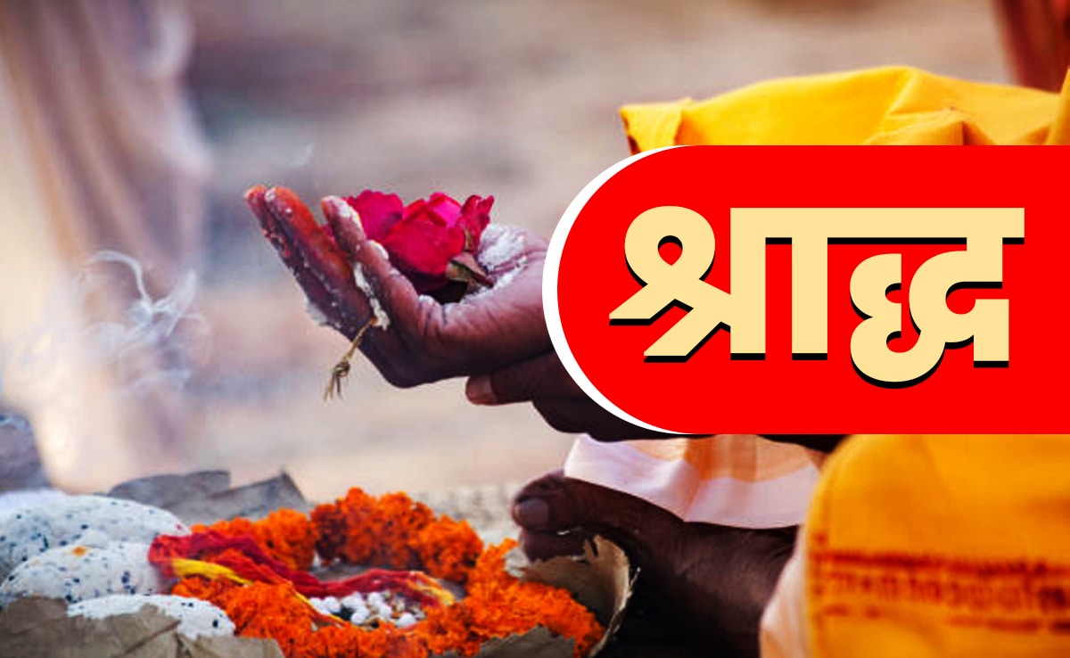 Latest and Breaking News on NDTV Latest and Breaking News on NDTV