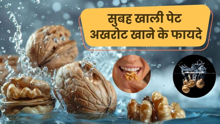 अखरोट को पानी में भिगोकर खाने के क्या फायदे हैं? हर दिन 5–6 भीगे हुए Walnuts खाने से मिलेंगे कमाल के फायदे अखरोट को पानी में भिगोकर खाने के क्या फायदे हैं? हर दिन 5–6 भीगे हुए Walnuts खाने से मिलेंगे कमाल के फायदे