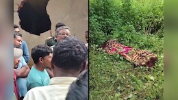 Elephant Attack: हाथियों का बेखौफ आतंक, घर पर हमला कर महिला की ली जान, ग्रामीणों में आक्रोश