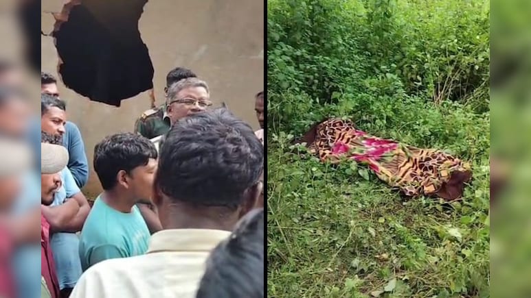 Elephant Attack: हाथियों का बेखौफ आतंक, घर पर हमला कर महिला की ली जान, ग्रामीणों में आक्रोश