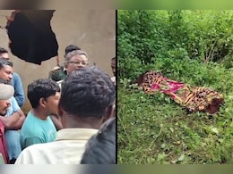 Elephant Attack: हाथियों का बेखौफ आतंक, घर पर हमला कर महिला की ली जान, ग्रामीणों में आक्रोश Elephant Attack: हाथियों का बेखौफ आतंक, घर पर हमला कर महिला की ली जान, ग्रामीणों में आक्रोश