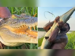 शख्स ने नंगे हाथों से पकड़ा खारे पानी का मगरमच्छ, बंदे की डेरिंग देखकर जनता शॉक्ड शख्स ने नंगे हाथों से पकड़ा खारे पानी का मगरमच्छ, बंदे की डेरिंग देखकर जनता शॉक्ड