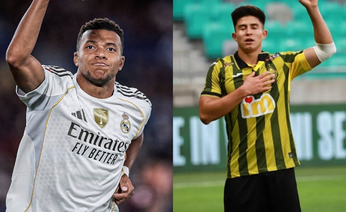 Argentina Vs Ecuador Live Streaming Fifa World Cup 2026 Qualifiers Live