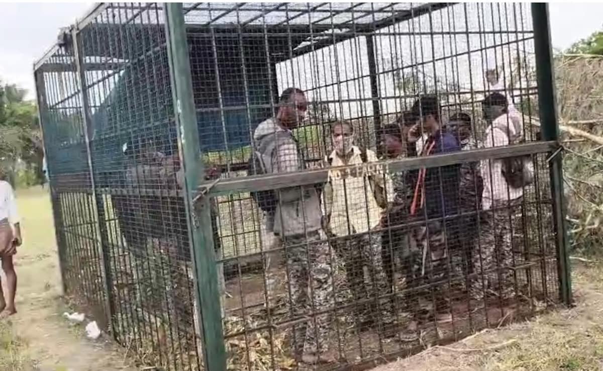 7 Forest Officials Locked Up In Tiger Cage By Angry Karnataka Villagers