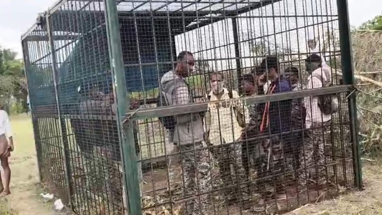 7 Forest Officials Locked Up In Tiger Cage By Angry Karnataka Villagers