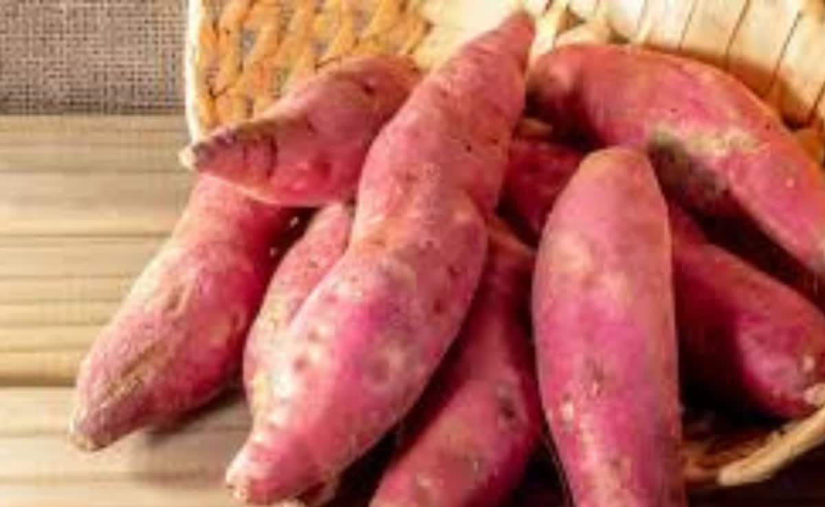 shakarkandi benefits in hindi, HEALTH BENEFITS AND SIDE EFFECTS OF EATING SWEET POTATOES DAILY FOR 30 DAYS, HOW MANY CALORIES ARE IN 1 SWEET POTATO, ROJANA SHAKARKAND KHANE SE KYA HOGA,  SHAKARKAND KHANE KE FAYDE NUKSAN, SHAKARKANDI NUTRIENTS, SWEET POTATO CALORIES AND GLYCEMIC INDEX Latest and Breaking News on NDTV