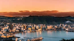 Flying To New Zealand? What You Can And Cannot Carry In Your Luggage