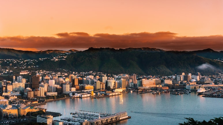 Flying To New Zealand? What You Can And Cannot Carry In Your Luggage Flying To New Zealand? What You Can And Cannot Carry In Your Luggage
