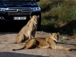 Uber Kicks Off Wildlife Safari Rides In Kenya For Rs 17,000 A Day
