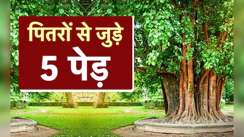 Pitru Paksha 2025 Plants: पितृपक्ष में इन 5 पौधों को लगाने से दूर होगा पितृदोष और बरसेगा पितरों का आशीर्वाद