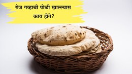 Side Effects Of Eating Wheat: गव्हाची पोळी रोज खाताय? यातील एक प्रोटीन आरोग्यासाठी ठरू शकते घातक