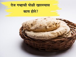 Side Effects Of Eating Wheat: गव्हाची पोळी रोज खाताय? यातील एक प्रोटीन आरोग्यासाठी ठरू शकते घातक