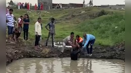 Indore News: पानी से भरे गड्ढे में डूबे तीन बच्चे, सगे-भाई बहन की मौत से ग्रामीणों में मातम