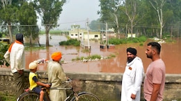 In Pics: Heavy Rain, Floods Ravage Parts Of North India