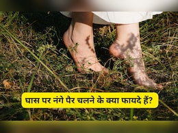 घास पर नंगे पैर चलने के क्या फायदे हैं? जानिए इसके सेहत पर होने वाले असर के बारे में घास पर नंगे पैर चलने के क्या फायदे हैं? जानिए इसके सेहत पर होने वाले असर के बारे में